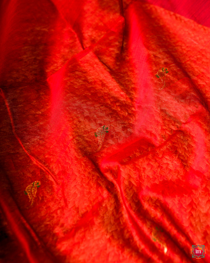 Elegant red hadloom cotton saree, where in the detailed saree print is displayed.