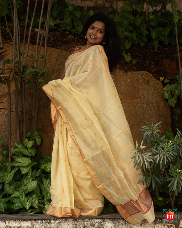 Chanderi Silk Cotton Saree Dream Girl