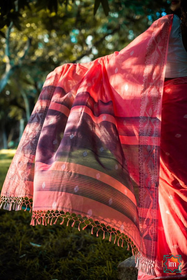 Jamdhani Cotton Coral Pink Saree-6-The Indian Motif